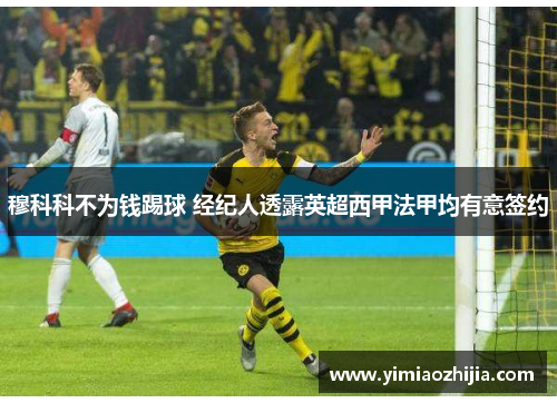 穆科科不为钱踢球 经纪人透露英超西甲法甲均有意签约