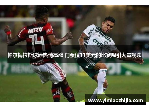 帕尔梅拉斯球迷热情高涨 门票仅11美元的比赛吸引大量观众